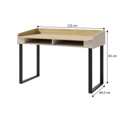 Psací stůl Alex pro mládež - moderní, funkční, 2 barvy