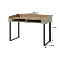 Psací stůl Alex pro mládež - moderní, funkční, 2 barvy