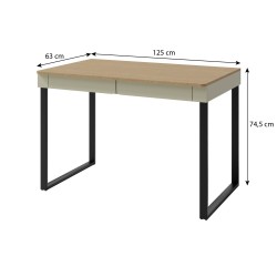 Psací stůl pro mládež LICO - moderní a funkční místo ke studiu