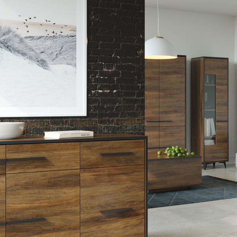 RTV skříň FELIA 2 dveře + 1 zásuvka - moderní, elegantní a funkční