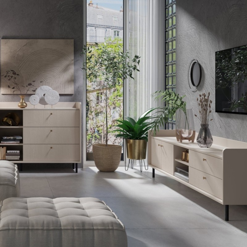 RTV skříňka GLORIA - moderní se 2 zásuvkami a 2 dvířky